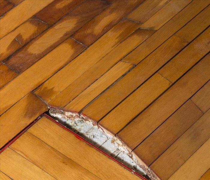 water damaged floor boards